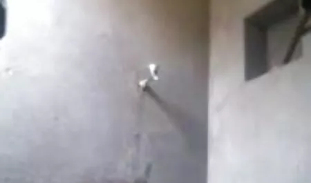 नग्न गाती है कोई सेक्सी फिल्म दिखाइए