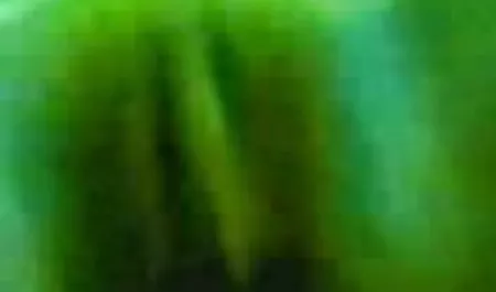 वह अपनी बेटी को वहाँ इंग्लिश पिक्चर दिखाइए सेक्सी ले लिया जो वहाँ आया अठारह साल पहले
