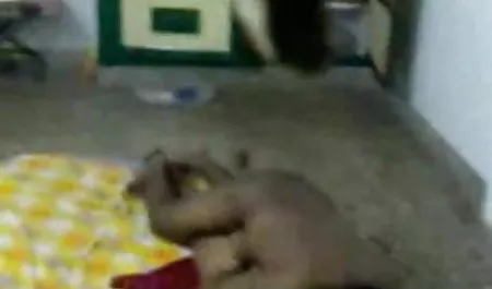 संतुष्ट. bf सेक्सी मूवी हिंदी स्त्री